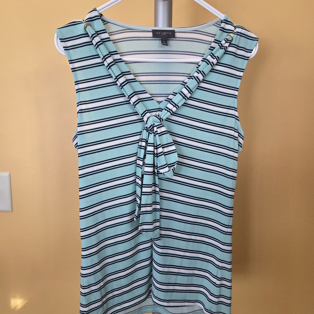 Teal and Black Striped Sleeveless Top